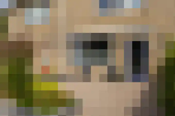 Skoalstrjitte 19 Sexbierum thumbnail 6