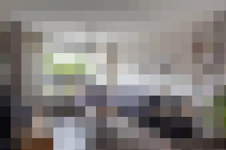 Skoalstrjitte 19 Sexbierum thumbnail 8