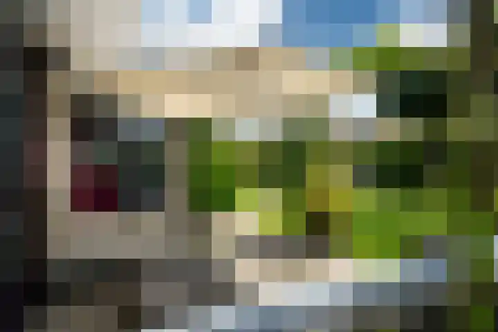 Skoalstrjitte 19 Tzummarum thumbnail 12