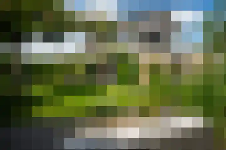 Skoalstrjitte 19 Tzummarum thumbnail 15
