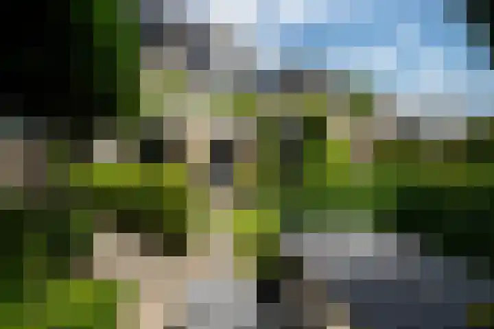 Skoalstrjitte 19 Tzummarum thumbnail 16