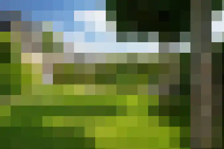 Skoalstrjitte 19 Tzummarum thumbnail 17