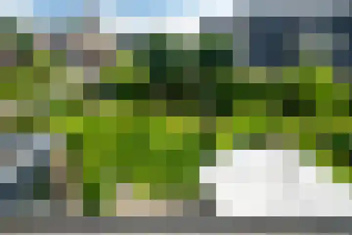 Skoalstrjitte 19 Tzummarum thumbnail 18