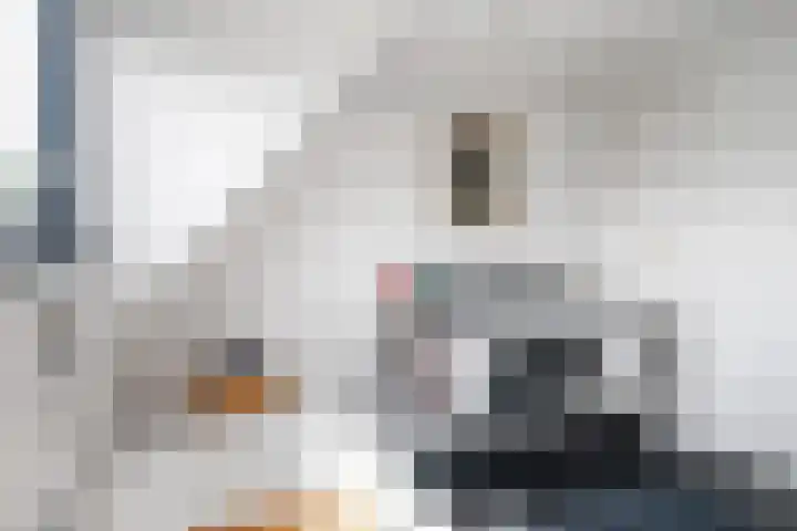 Skoalstrjitte 19 Tzummarum thumbnail 28