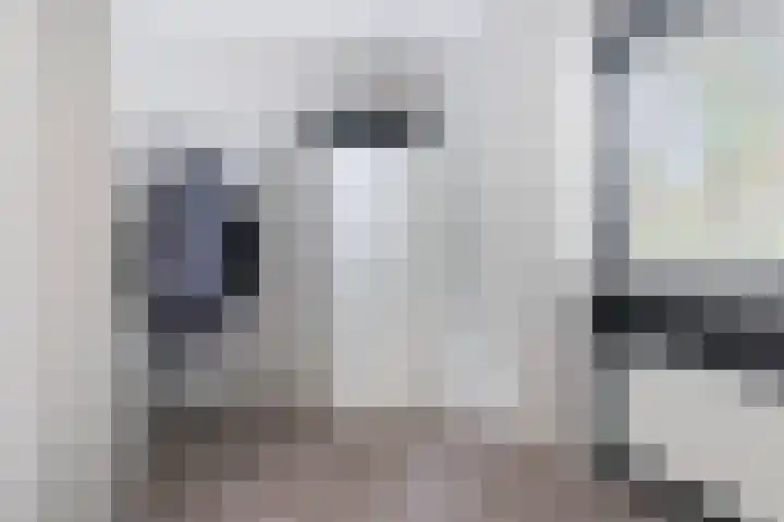 Skoalstrjitte 19 Tzummarum thumbnail 30