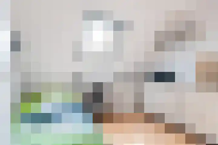 Skoalstrjitte 19 Tzummarum thumbnail 31