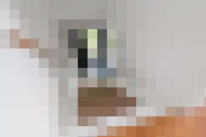 Skoalstrjitte 19 Tzummarum thumbnail 36
