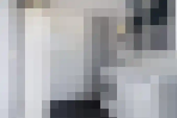 Skoalstrjitte 19 Tzummarum thumbnail 38