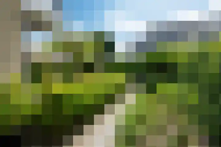 Skoalstrjitte 19 Tzummarum thumbnail 40