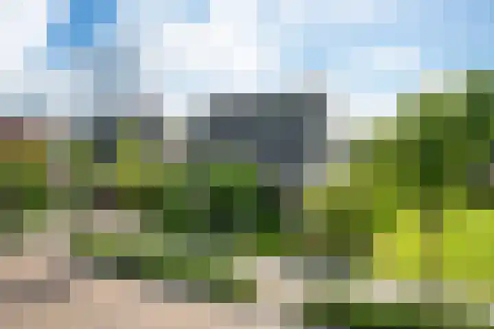 Skoalstrjitte 19 Tzummarum thumbnail 41