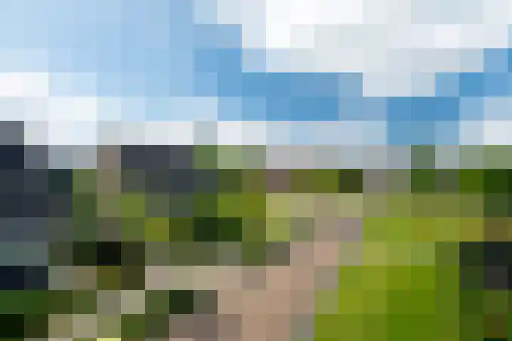 Skoalstrjitte 19 Tzummarum thumbnail 44