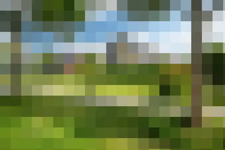 Skoalstrjitte 19 Tzummarum thumbnail 45