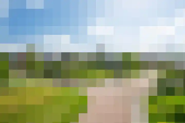 Skoalstrjitte 19 Tzummarum thumbnail 46