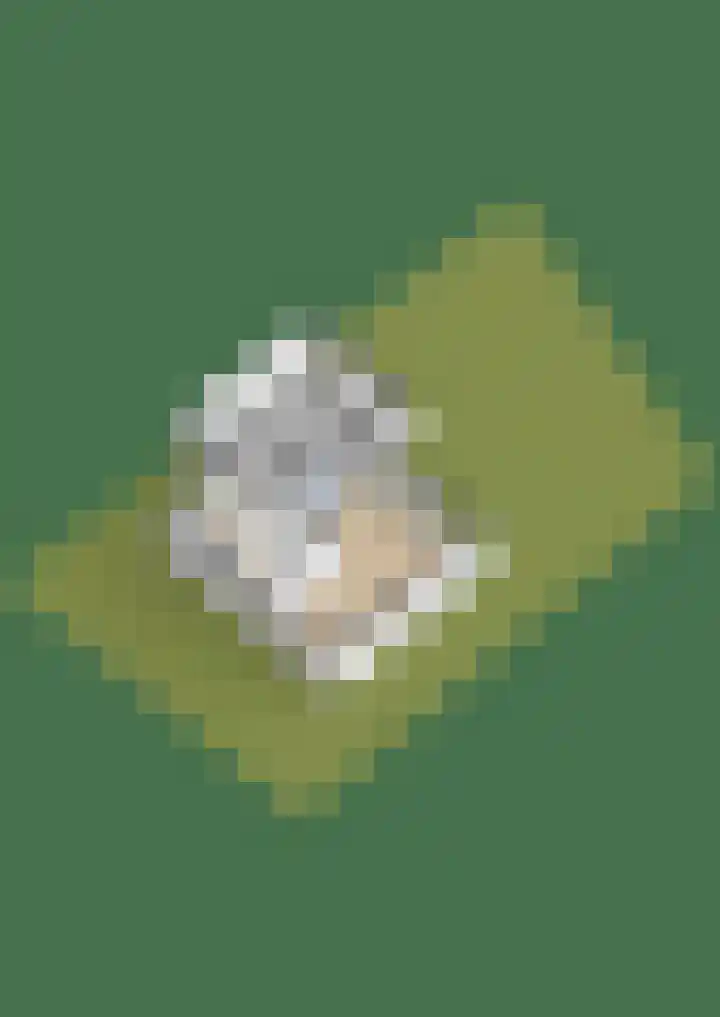 Skoalstrjitte 19 Tzummarum thumbnail 54