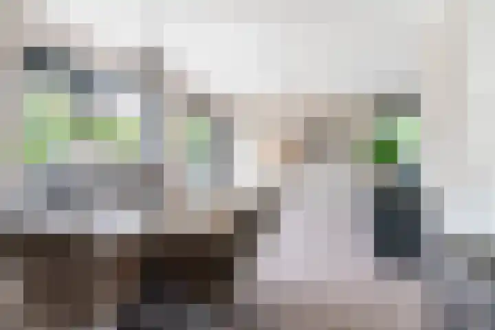 Skoalstrjitte 19 Tzummarum thumbnail 6