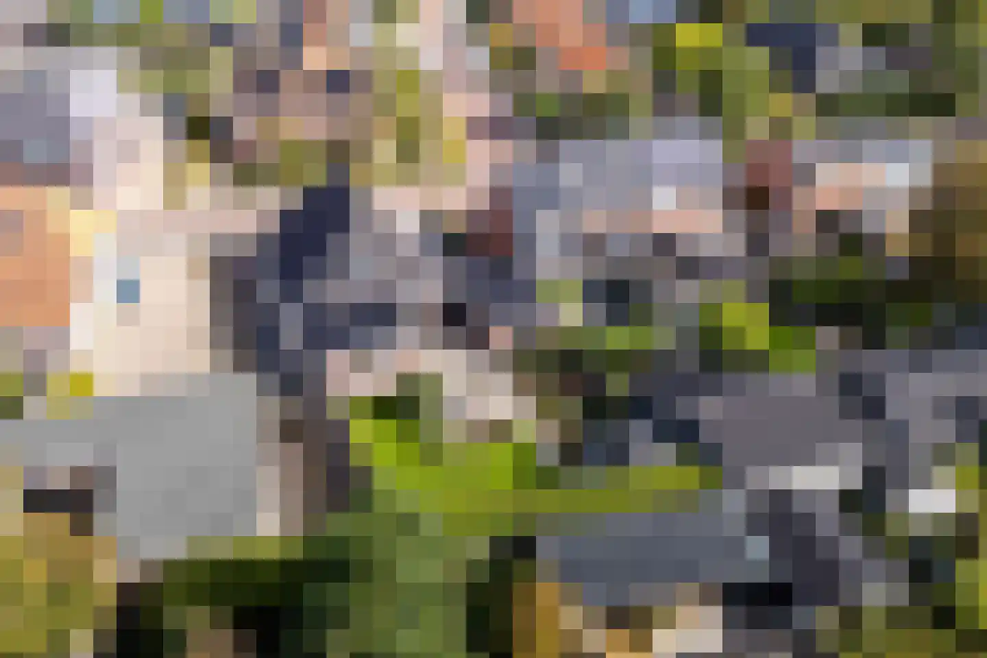 Skoalstrjitte 4 Minnertsga thumbnail 56