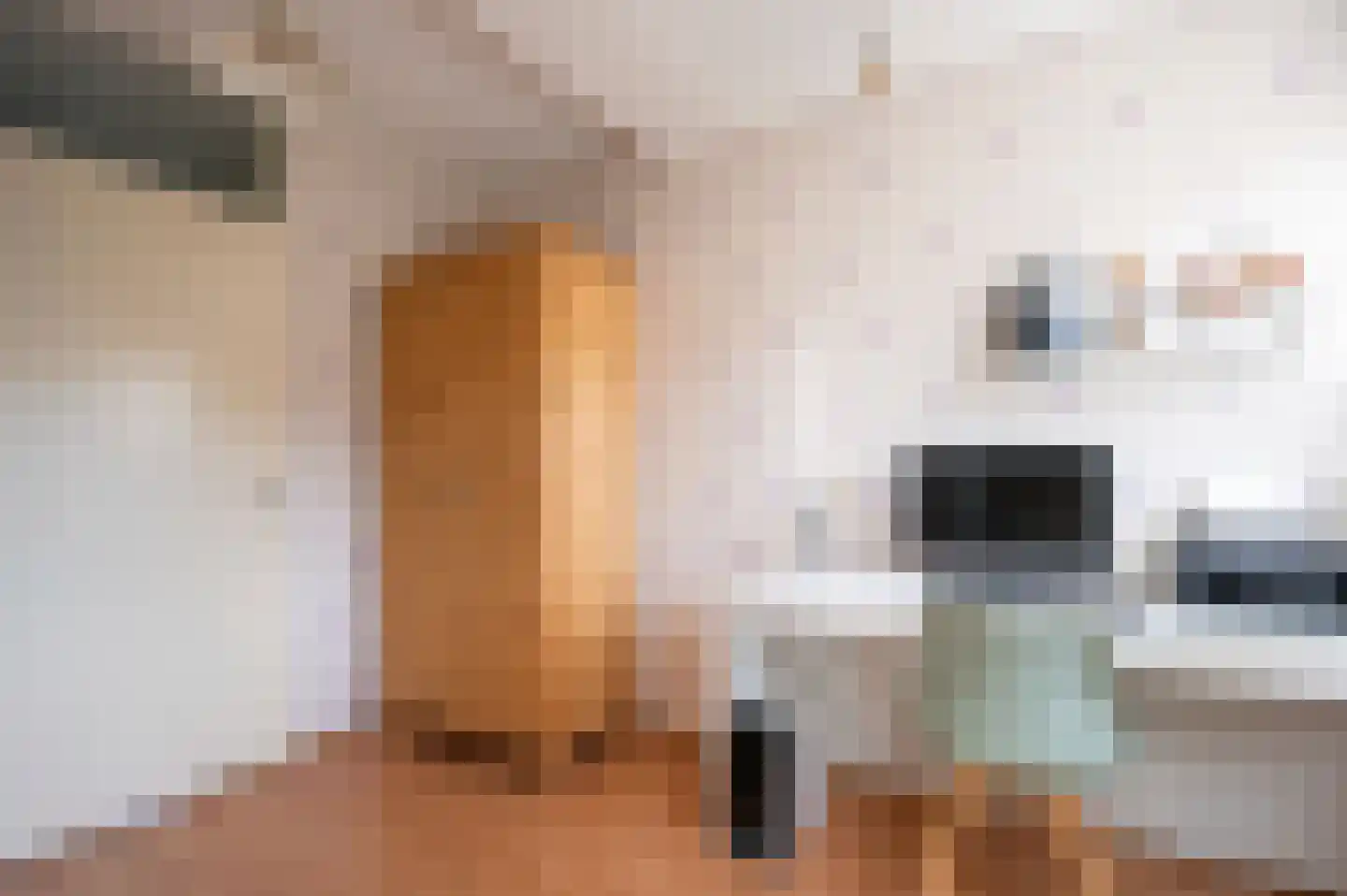 Skönvik 1 Leerdam thumbnail 20