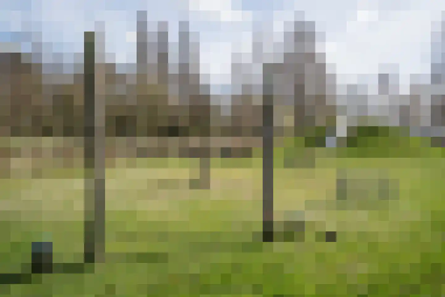 Skönvik 1 Leerdam thumbnail 33