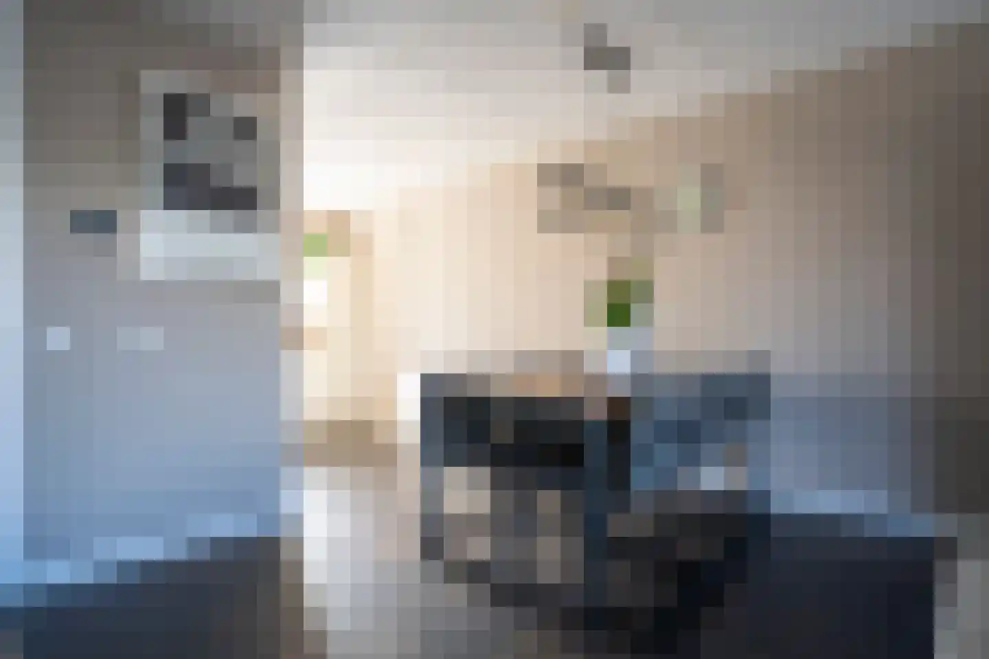 Skönvik 15 Leerdam thumbnail 10