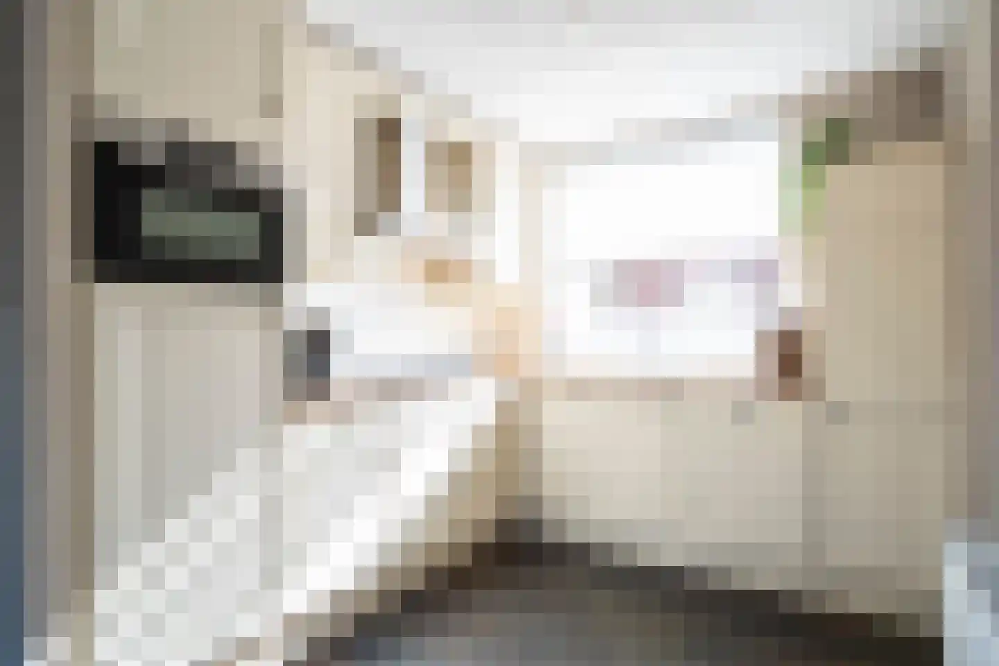 Skönvik 15 Leerdam thumbnail 11
