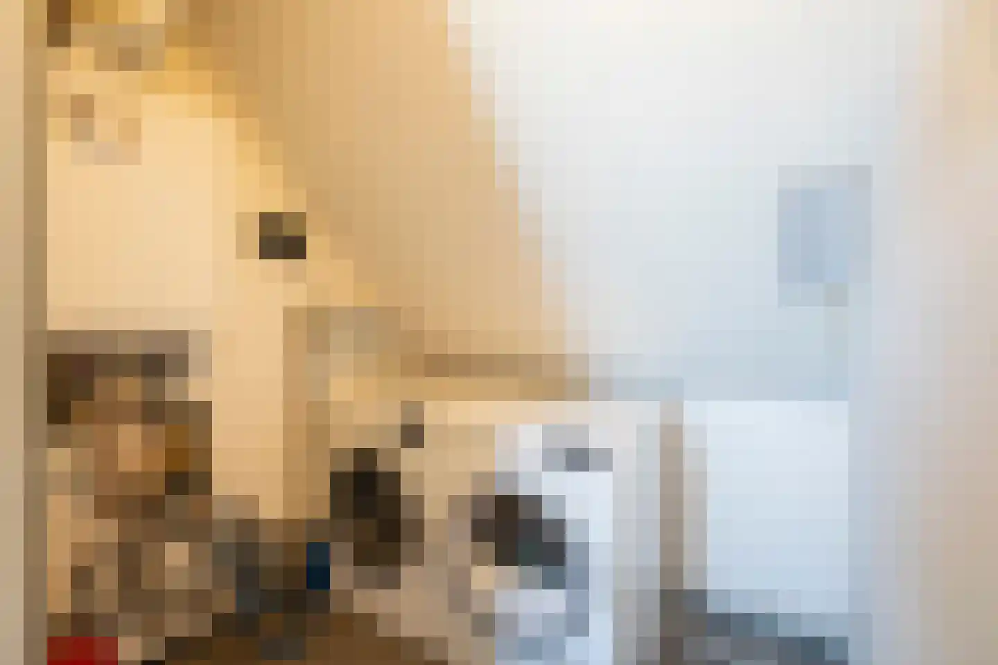 Skönvik 15 Leerdam thumbnail 26
