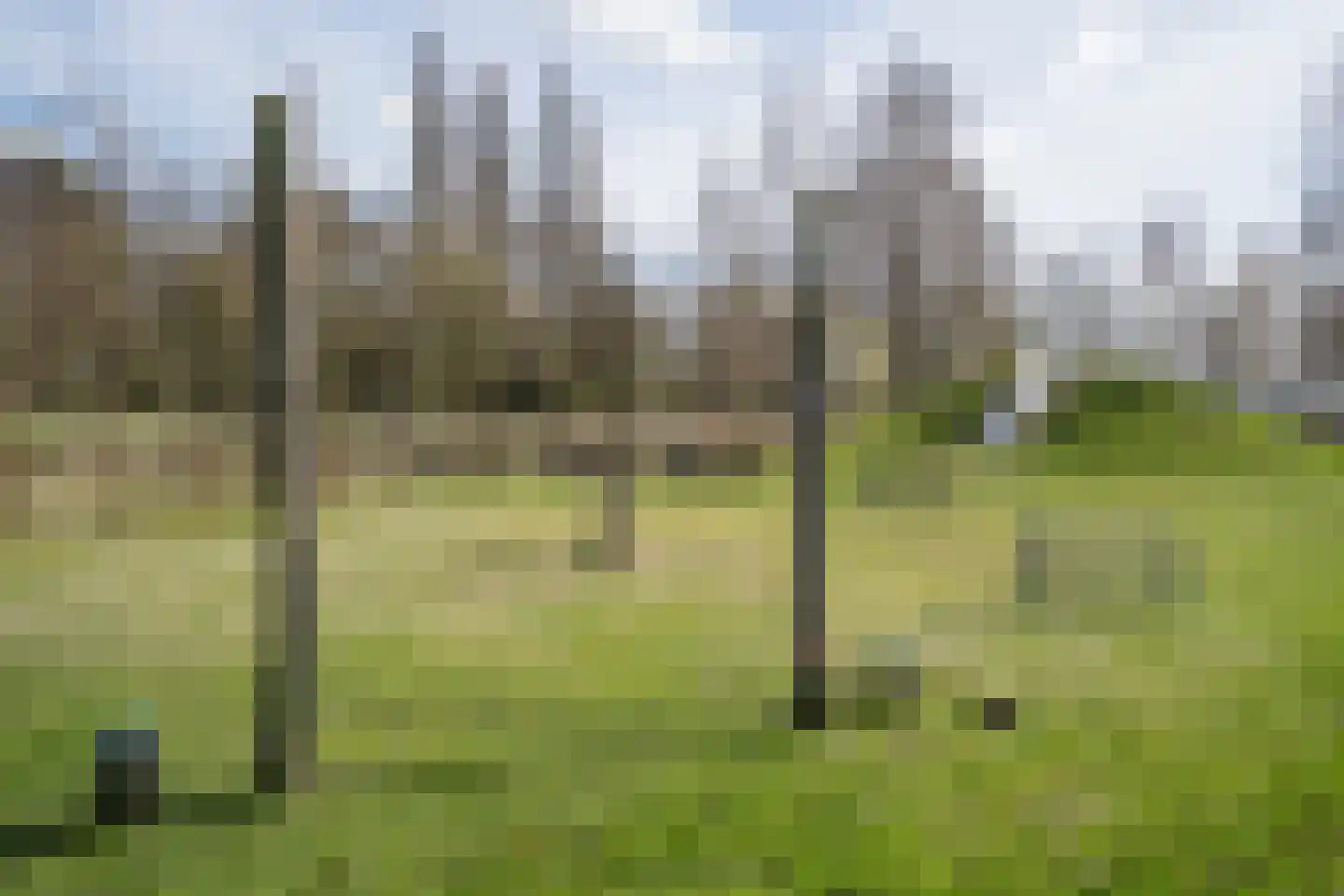 Skönvik 15 Leerdam thumbnail 5