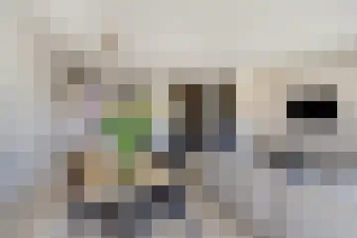 Skönvik 17 Leerdam thumbnail 18