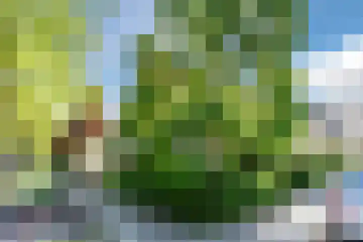 Skönvik 17 Leerdam thumbnail 22