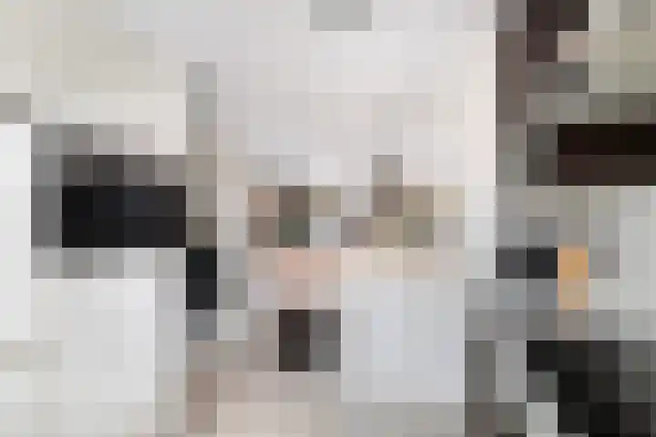 Skönvik 17 Leerdam thumbnail 38