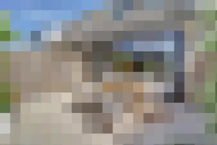 Skönvik 17 Leerdam thumbnail 39