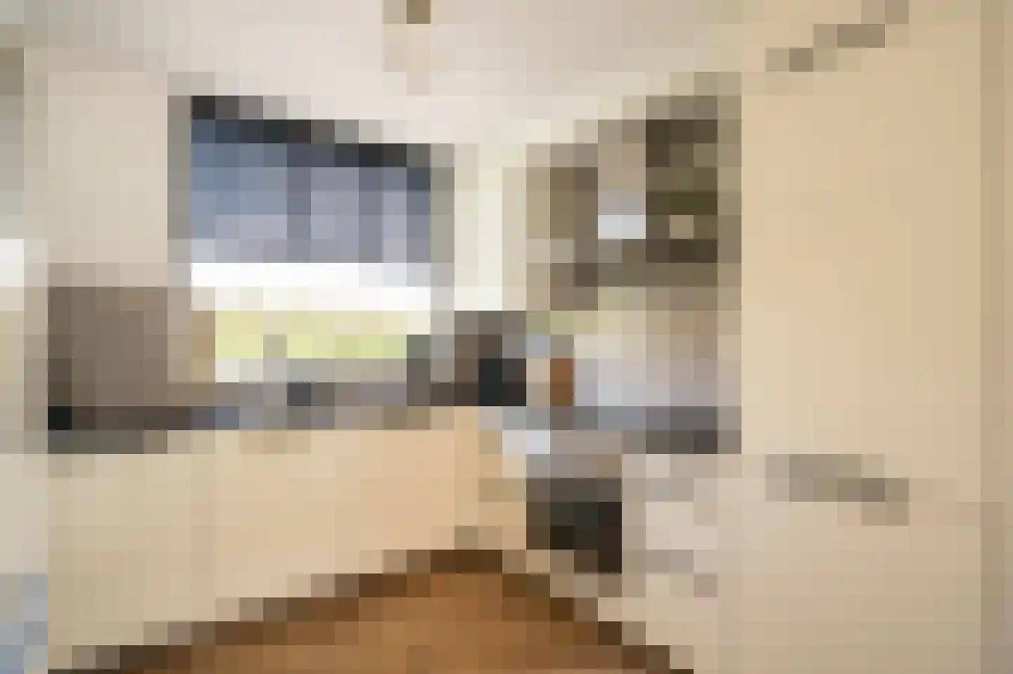 Skönvik 29 Leerdam thumbnail 10
