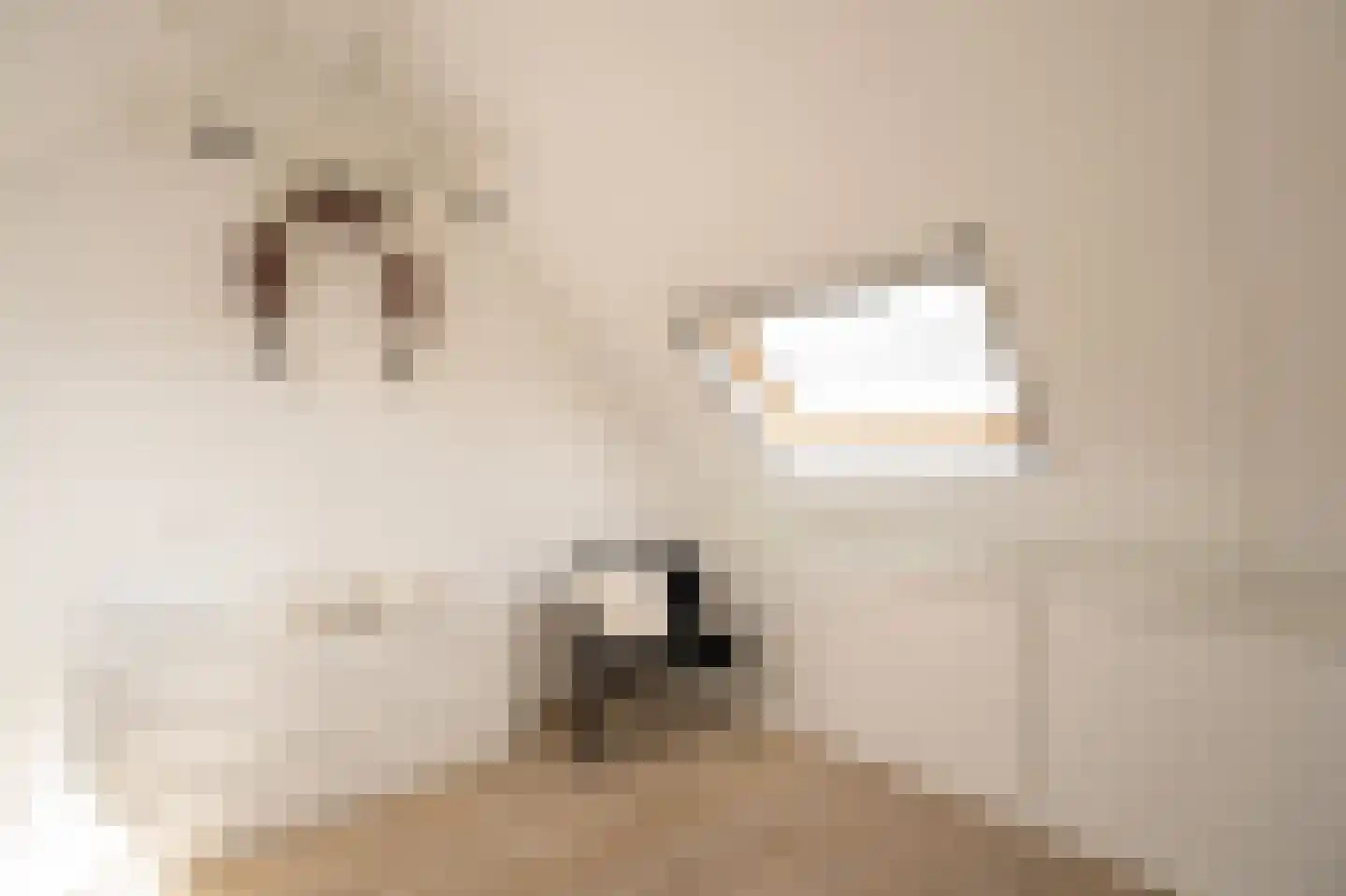 Skönvik 29 Leerdam thumbnail 33