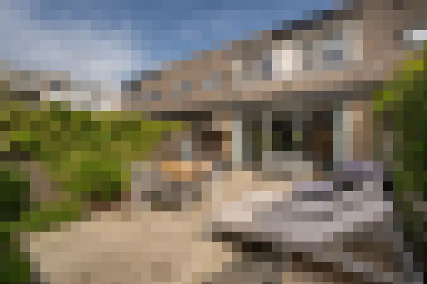 Skönvik 29 Leerdam thumbnail 36