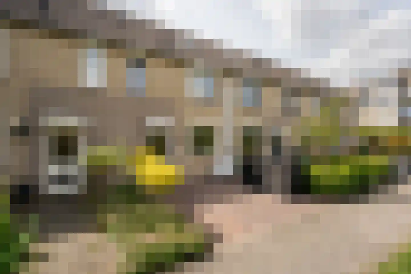 Skönvik 29 Leerdam thumbnail 42