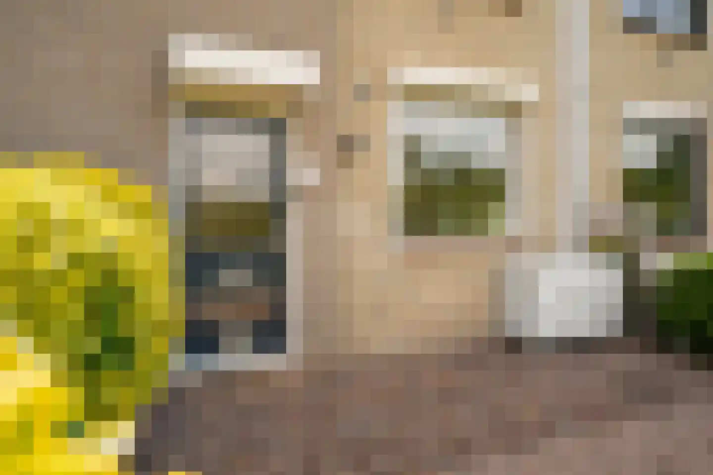 Skönvik 29 Leerdam thumbnail 7