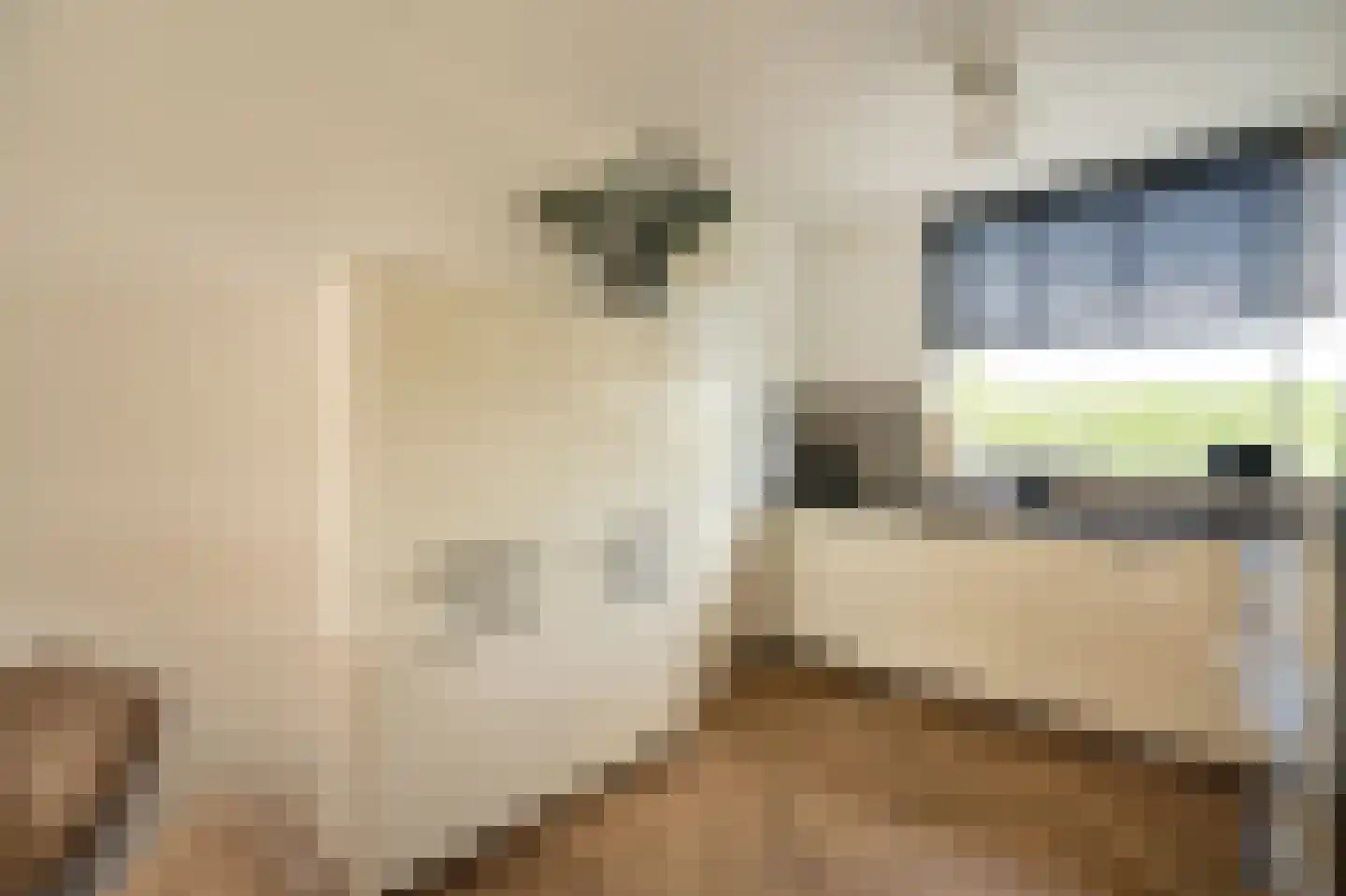 Skönvik 29 Leerdam thumbnail 8