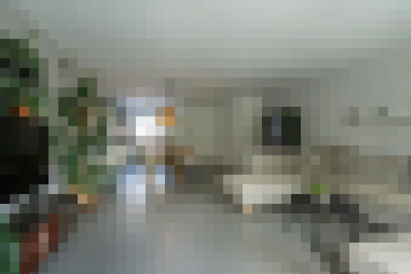 Skönvik 6 Leerdam thumbnail 14