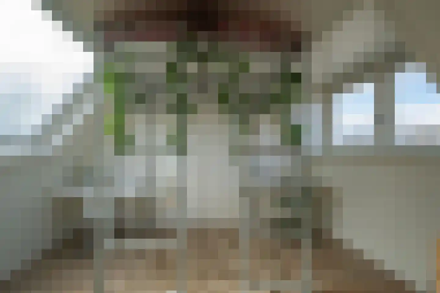 Skönvik 6 Leerdam thumbnail 41
