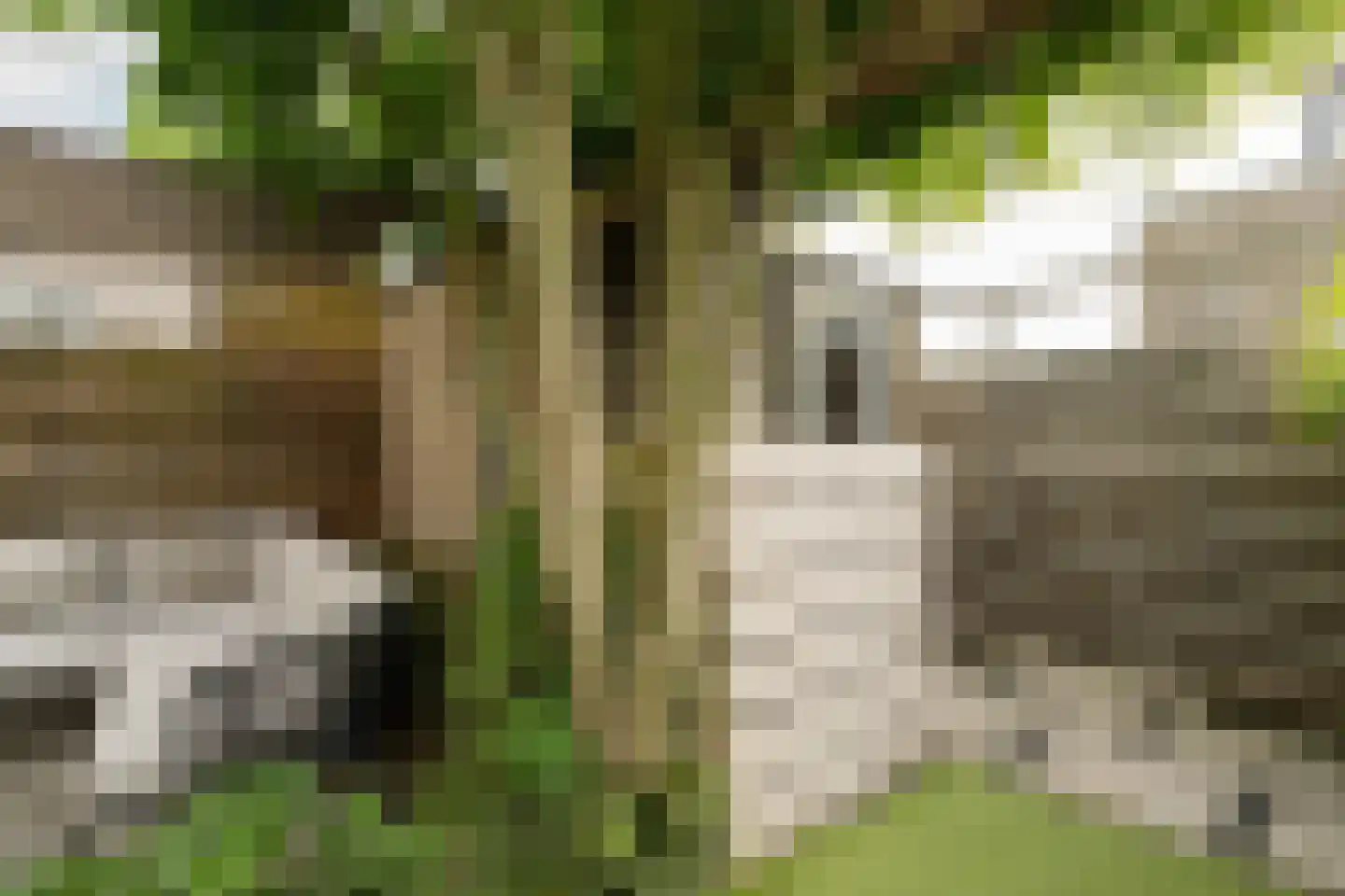 Skönvik 6 Leerdam thumbnail 5