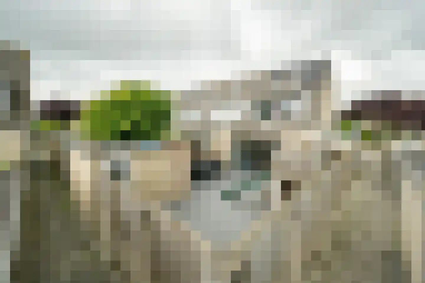 Skönvik 8 Leerdam thumbnail 13