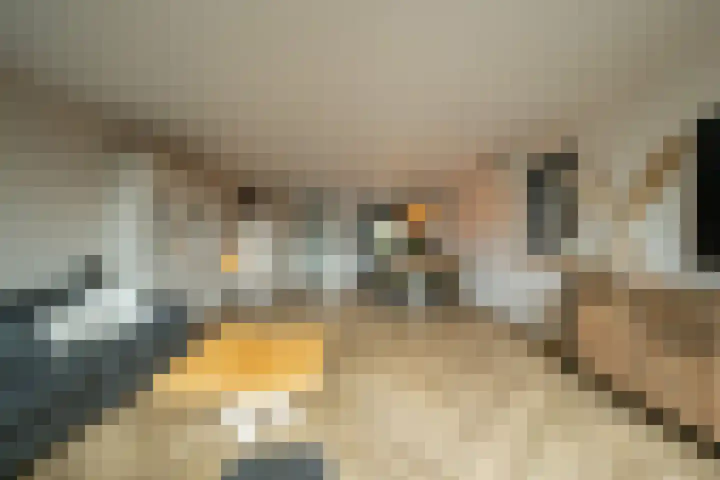 Skönvik 8 Leerdam thumbnail 24
