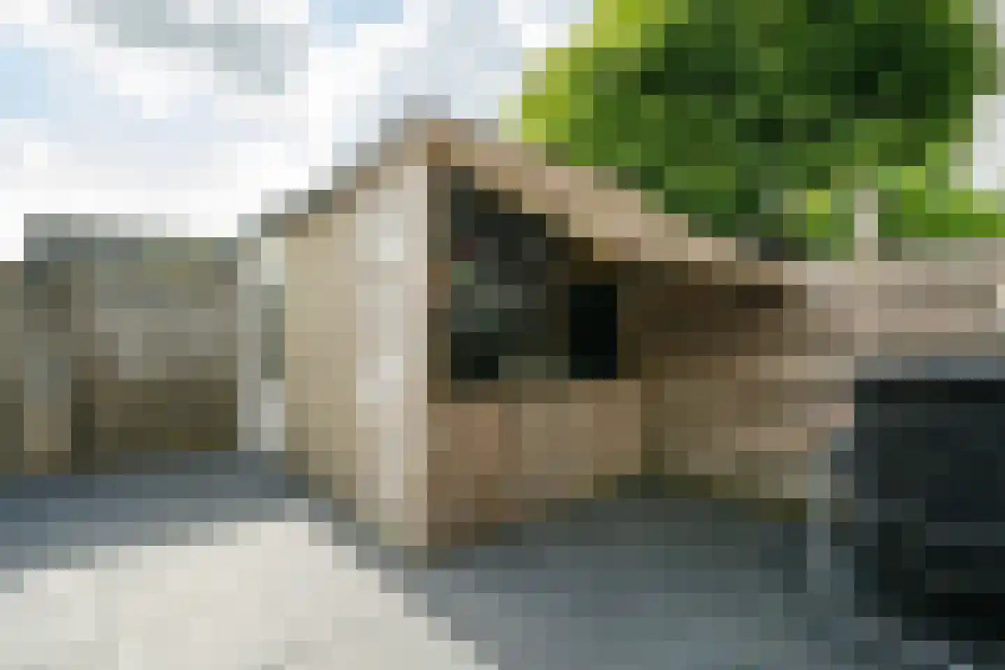Skönvik 8 Leerdam thumbnail 7