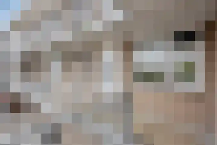 Skoonzicht 105 Oostzaan thumbnail 21