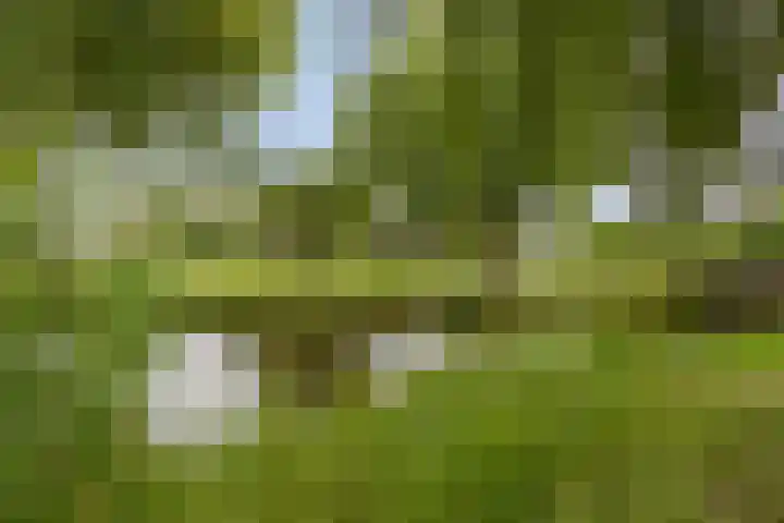 Skoonzicht 105 Oostzaan thumbnail 25