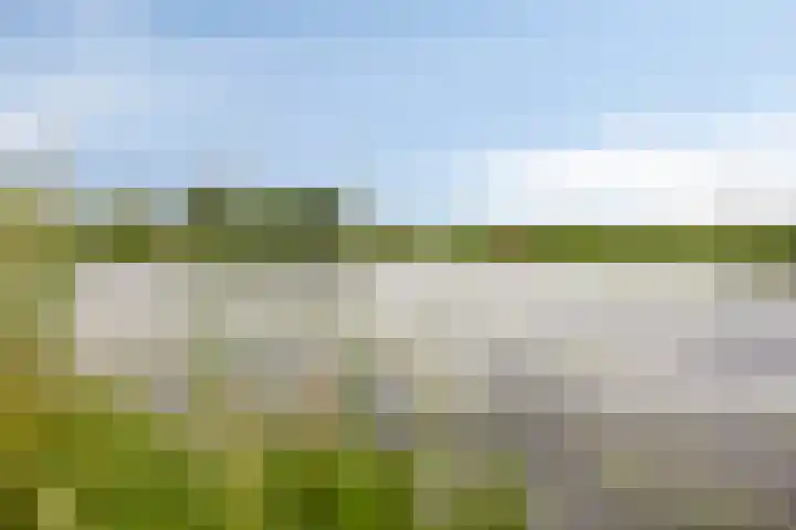 Skoonzicht 105 Oostzaan thumbnail 26