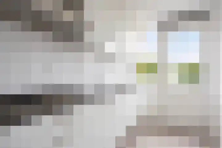 Skoonzicht 105 Oostzaan thumbnail 4