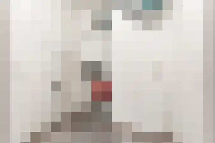 Skoonzicht 3 Oostzaan thumbnail 16