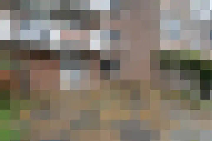 Skoonzicht 3 Oostzaan thumbnail 18