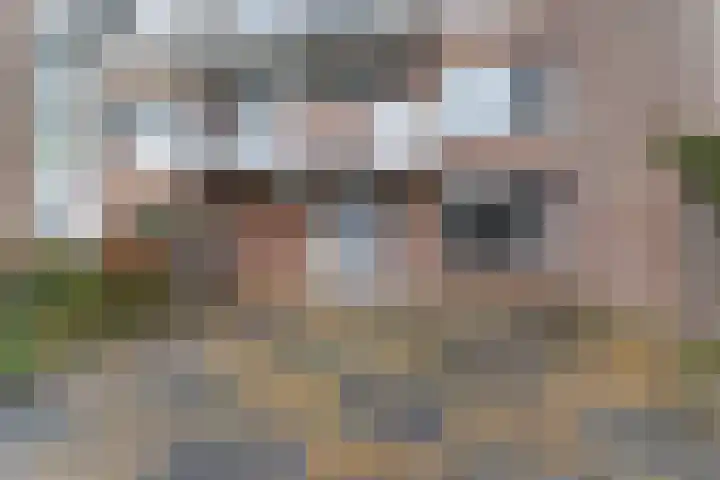 Skoonzicht 3 Oostzaan thumbnail 19