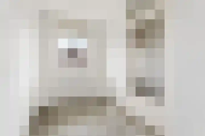 Skoonzicht 3 Oostzaan thumbnail 25